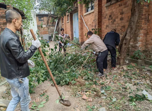 長(zhǎng)運(yùn)物業(yè)?：清除廠(chǎng)區(qū)雜草 消除安全隱患